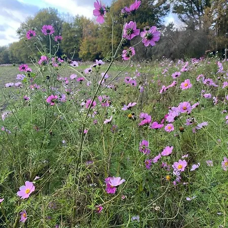 De Schuilhoek Private Blaricum
