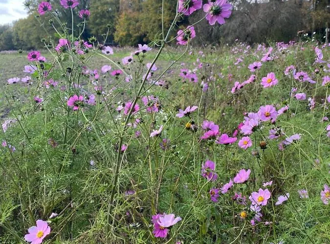 De Schuilhoek Private Blaricum