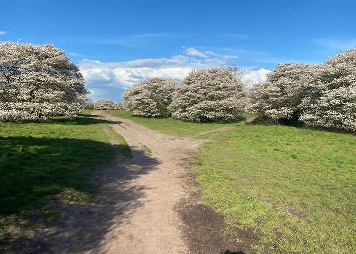 De Schuilhoek Private Blaricum