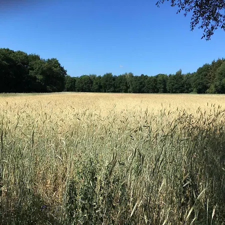 Апартаменты De Schuilhoek Private Бларикюм